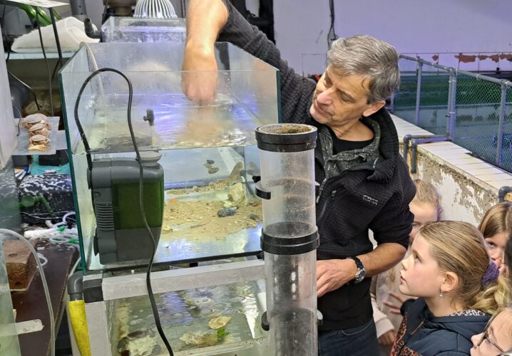 Kijkje Achter De Schermen Van Het Zee Aquarium Terra Maris